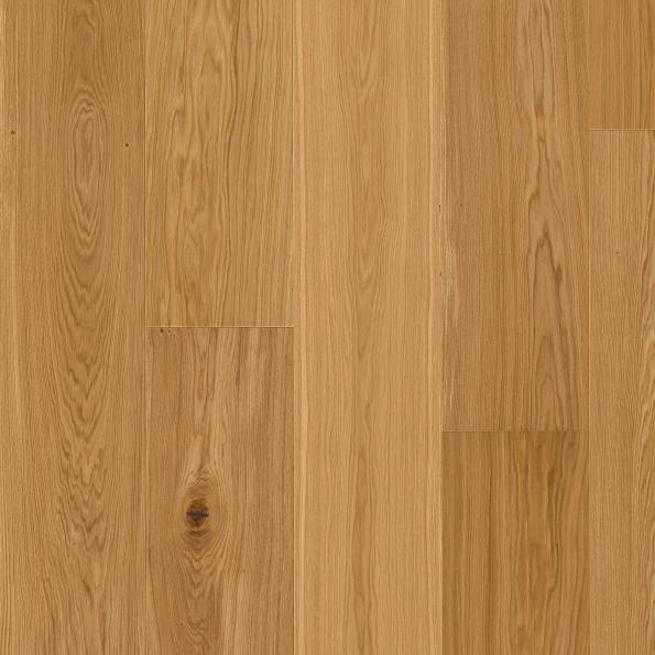 Oak Nature